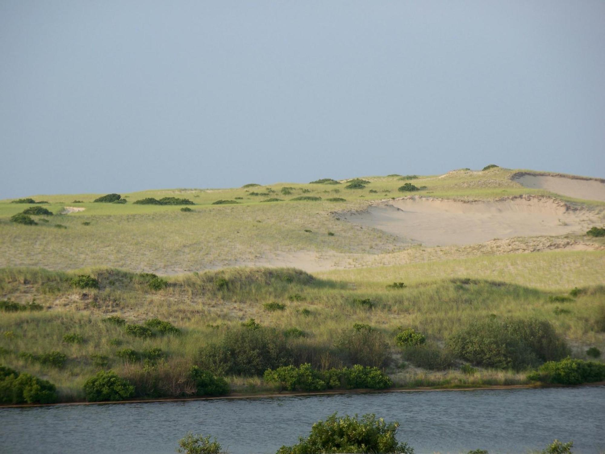 נורת' טרורו Blue Sea Motor Inn מראה חיצוני תמונה