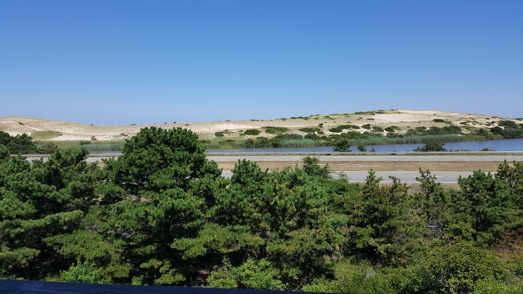 נורת' טרורו Blue Sea Motor Inn מראה חיצוני תמונה